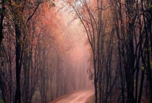 新华全媒+｜地下直击世界最长海底高铁隧道建设.