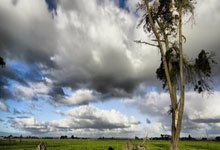 米兰体育：西甲第17輪奧薩蘇納2-2巴塞羅那 尼科與阿布德先後破門難救主.