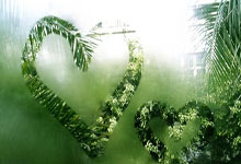 背后放倒王钰栋致其伤退，郑凯木微博遭大量球迷辱骂.