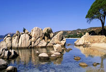 帕瓦尔：那不勒斯争冠压力比我们大；联赛和欧冠我全都要.